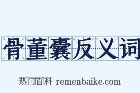 骨董囊反义词是什么意思的图片